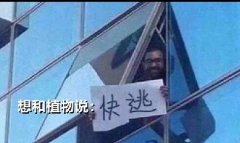 <font color='#000000'>推荐几种好养活的植物！一般人养不死</font>